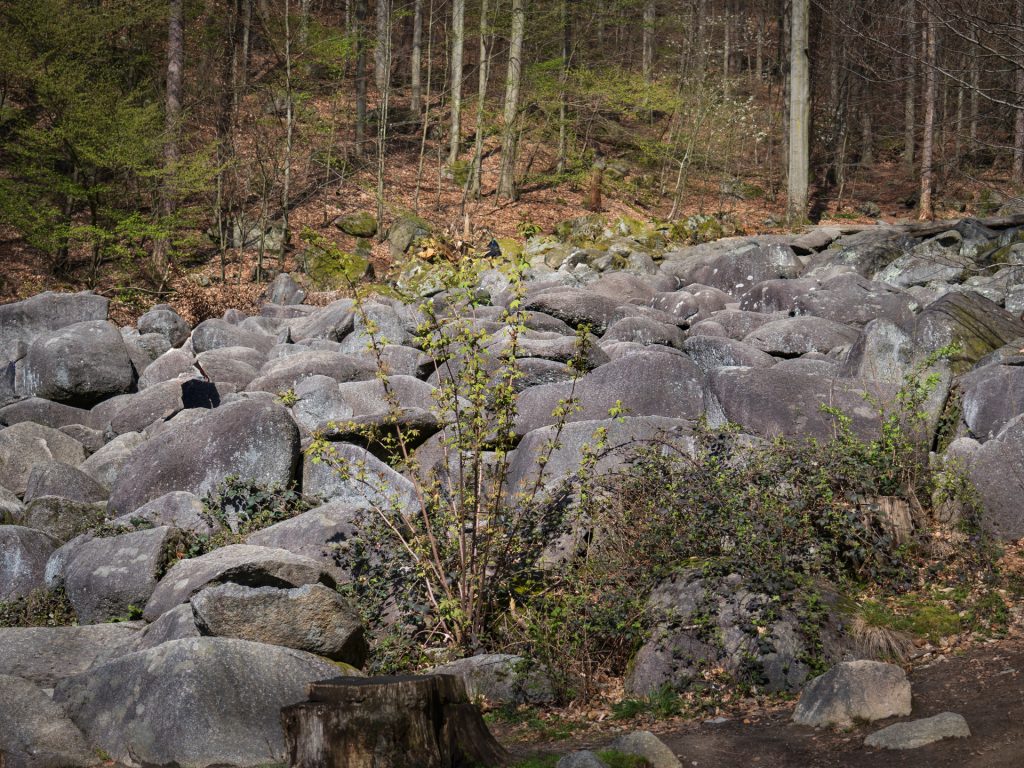 Rounded rocks, eroded and uncovered over very long periods of time