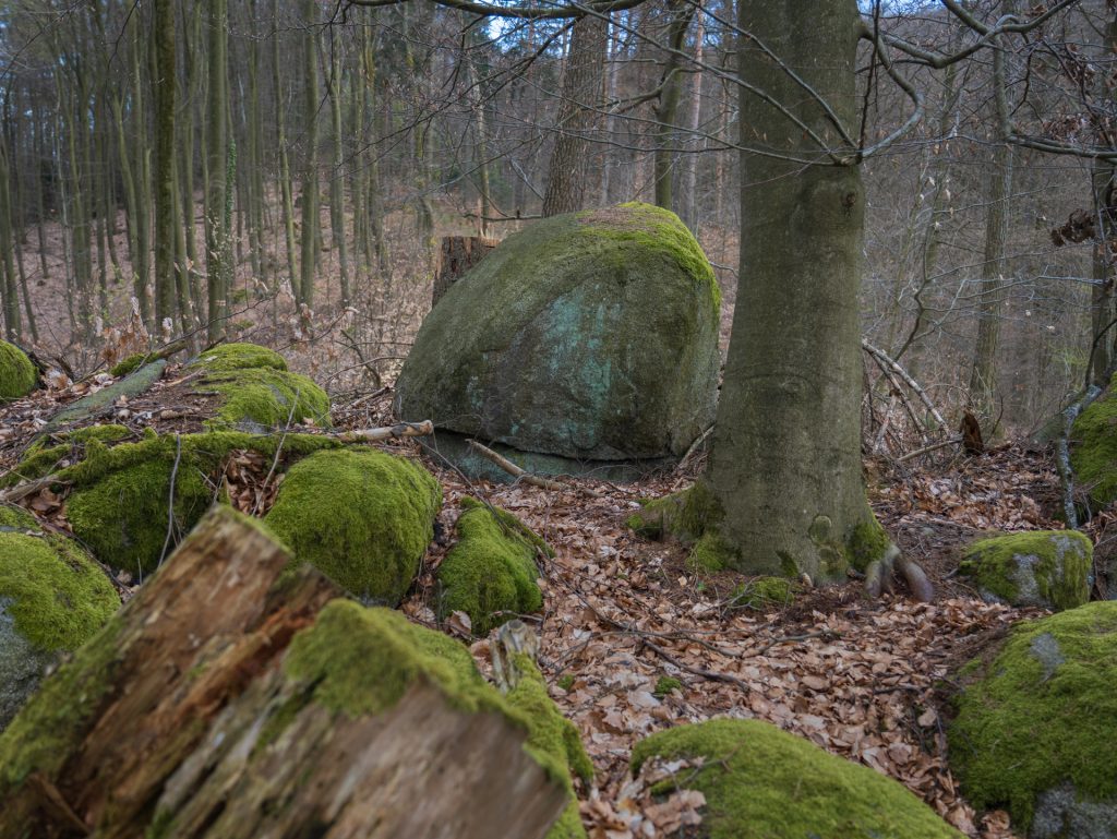 A unique standing stone