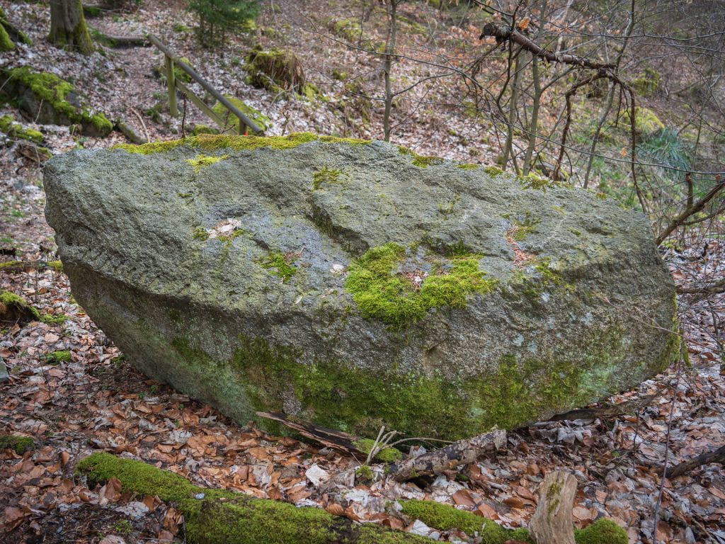 Worked stone in the forest