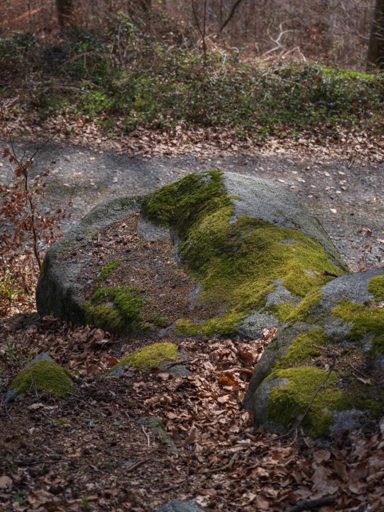 The Stone Chaiselongue