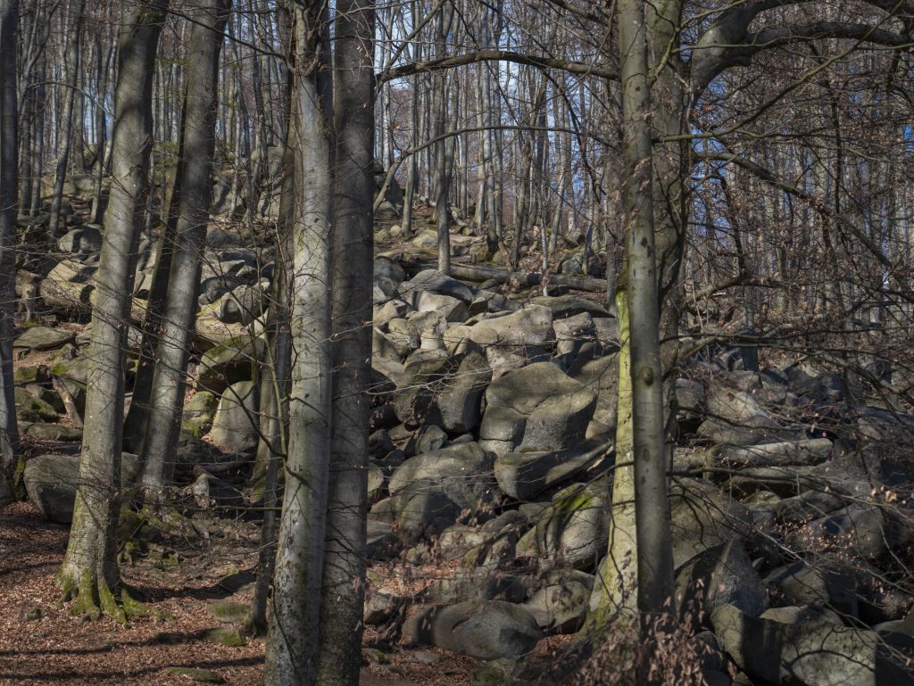Rocks as far as the eye can see