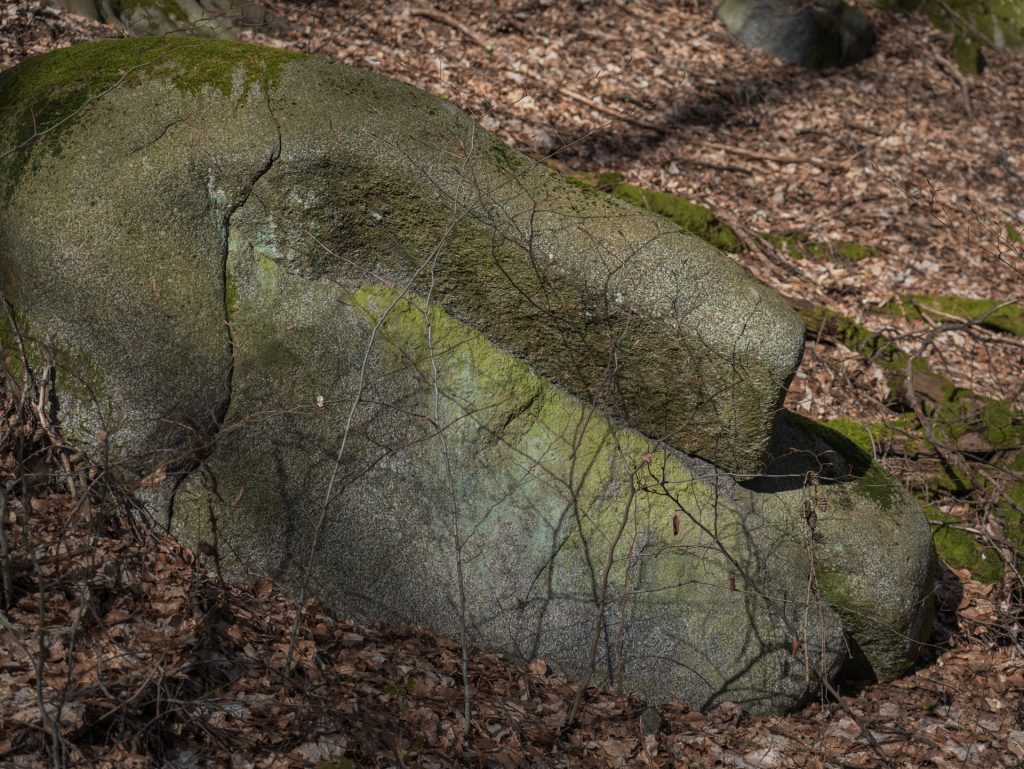 A strange stone shape in the forest