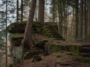 A moss-covered rock formation with stone steps leading up, surrounded by tall trees in a forested area.