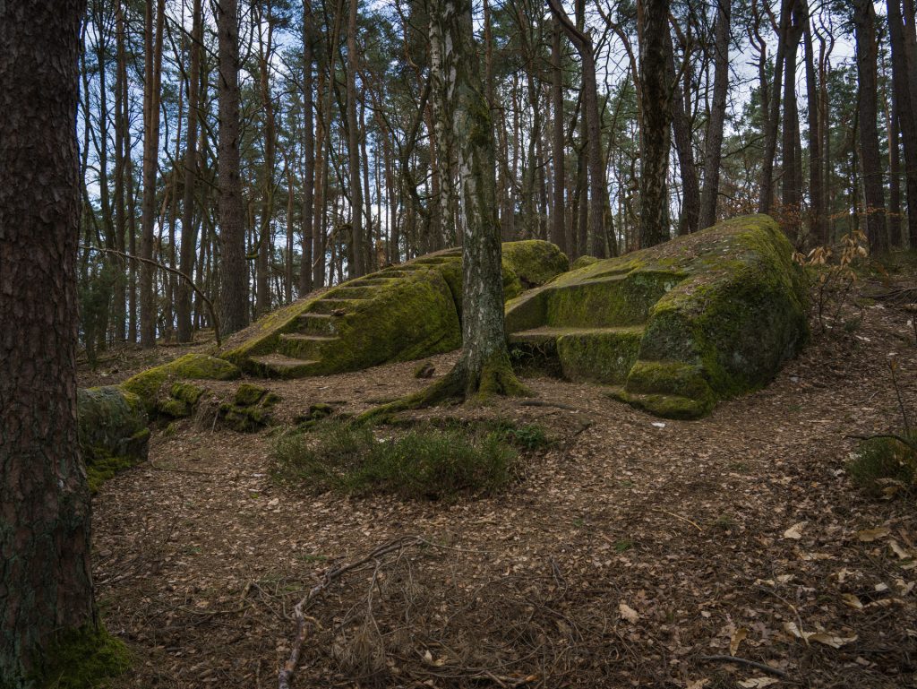 Large, moss-covered stone formations with carved steps among a forest of tall trees and scattered leaves.