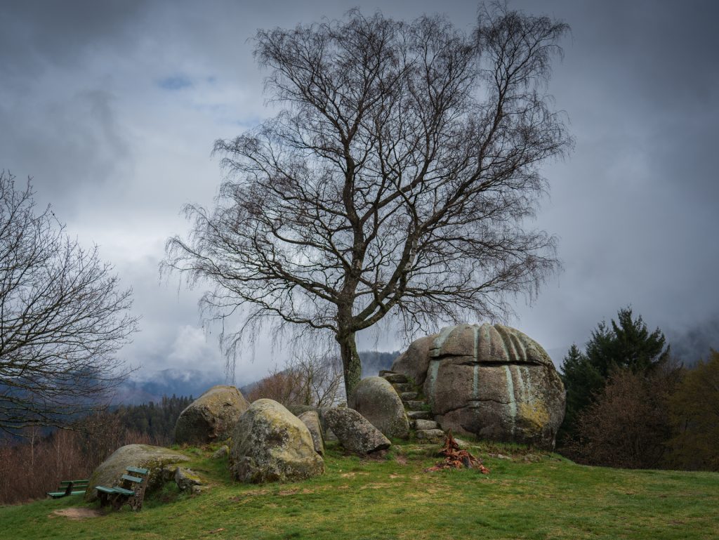 A large, textured boulder sits beside a leafless tree on grassy terrain, with smaller rocks nearby and a cloudy sky above.