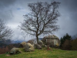 A large, textured boulder sits beside a leafless tree on grassy terrain, with smaller rocks nearby and a cloudy sky above.