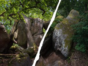 Two large boulders split by a vertical line; the left boulder is covered in moss with tree roots, while the right is more rugged and bare.