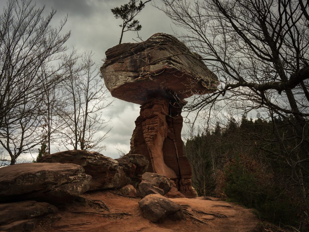 A large, flat rock perched atop a narrow column, with a small tree growing on the rock, surrounded by bare trees and a gloomy sky.