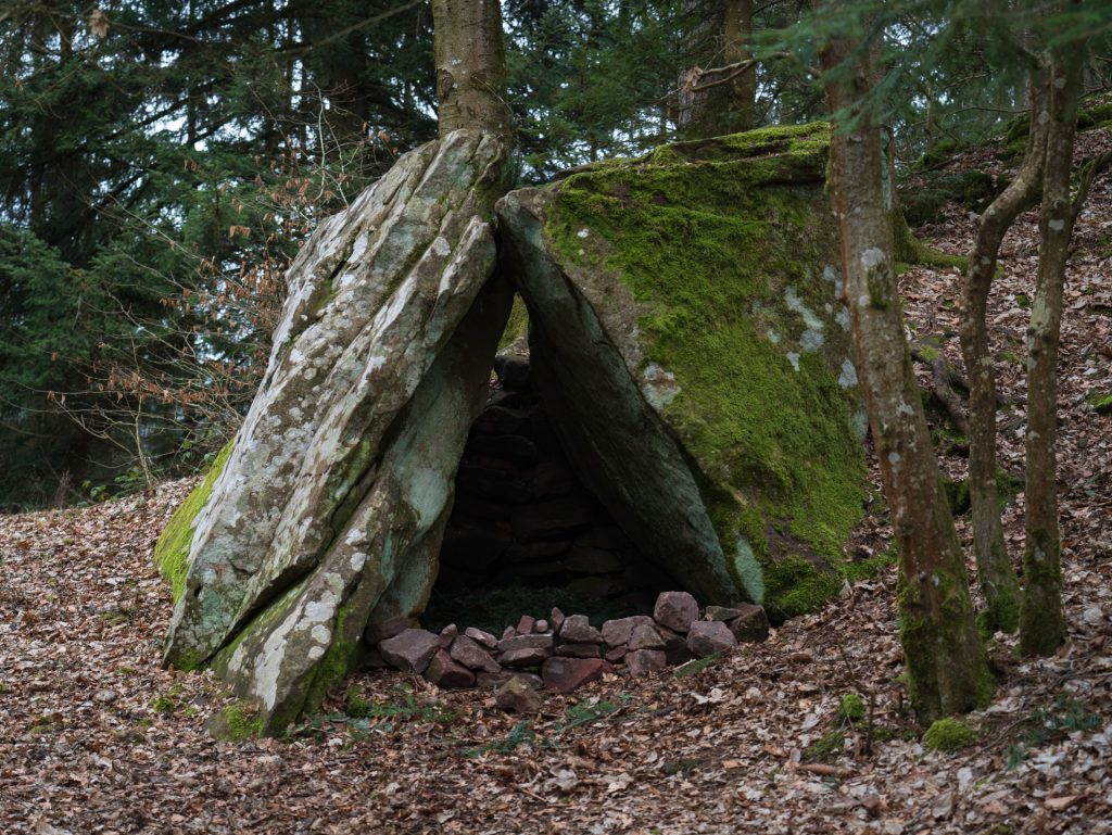A moss-covered rock formation shaped like a small shelter, surrounded by trees and fallen leaves.