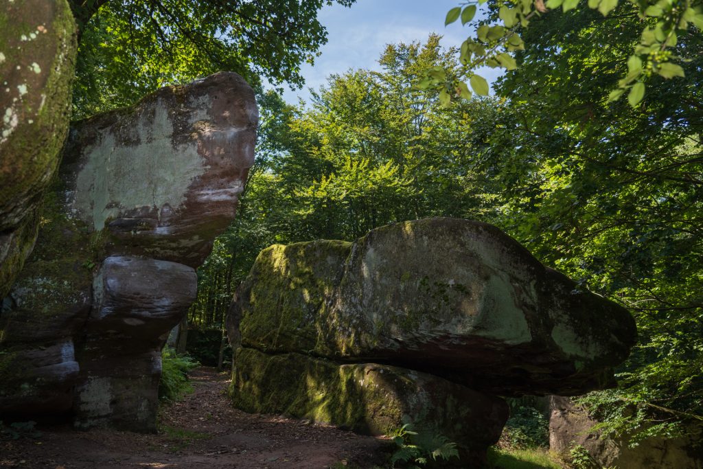 Large moss-covered boulders stand on either side of a narrow dirt path, surrounded by lush green trees under a clear blue sky.