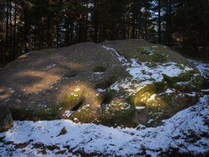 A large, moss-covered boulder partially covered in snow, surrounded by trees in a forest setting. Sunlight shines on one side.