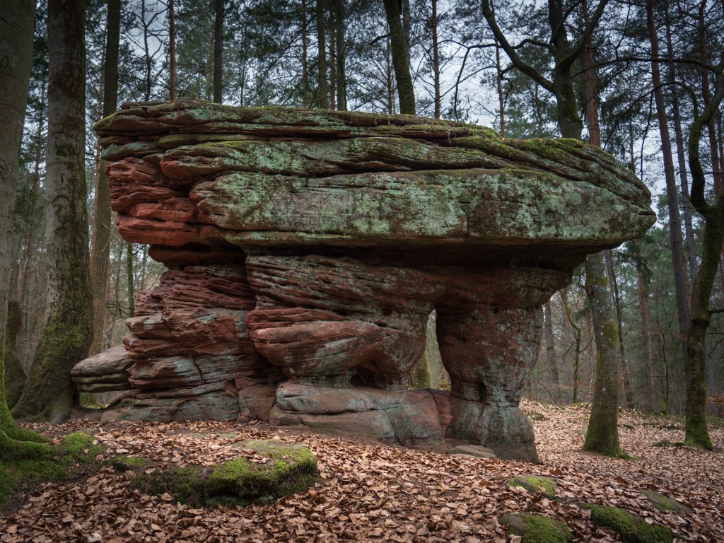 A large, flat-topped rock formation with red and green hues, surrounded by trees and fallen leaves in a forested area.