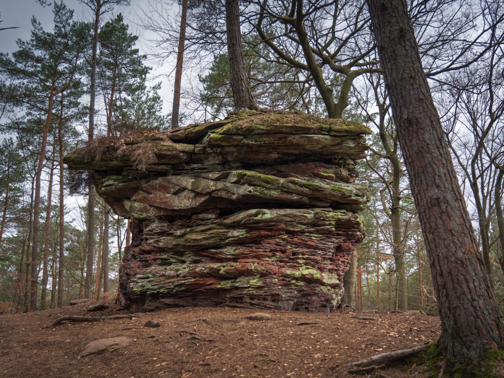 A large, layered rock formation covered with moss, surrounded by trees in a forest setting.
