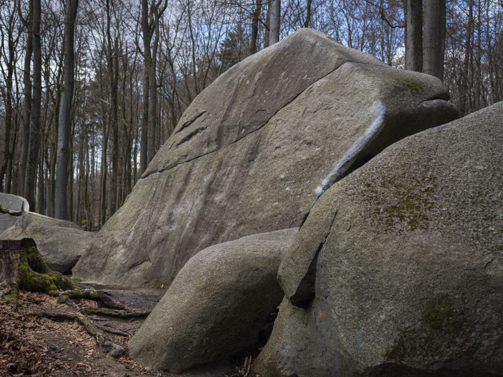 Large, weathered boulders covered with moss, set amidst a forest of tall trees in a tranquil natural landscape.