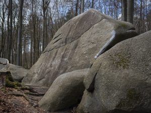Large, weathered boulders covered with moss, set amidst a forest of tall trees in a tranquil natural landscape.