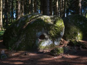 Large boulder covered in moss and lichen, set among tall trees in a wooded area. A small circular hole is visible on one side.