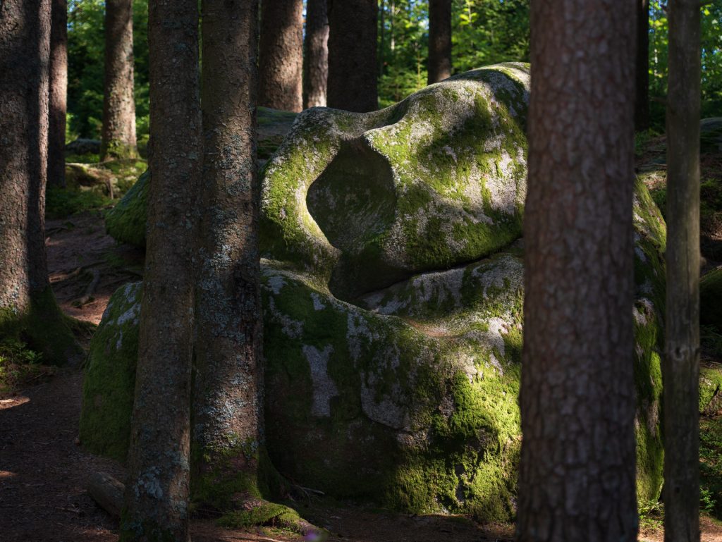 A large, moss-covered rock resembling a face sits among tall trees in a sunlit forest.