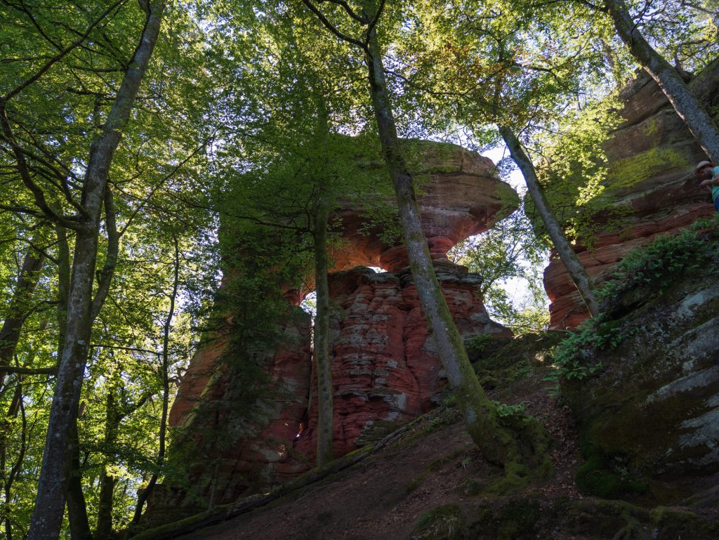 A large, red rock formation stands amid green trees, illuminated by sunlight filtering through the foliage.