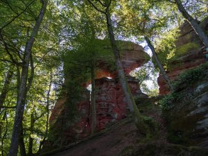 A large, red rock formation stands amid green trees, illuminated by sunlight filtering through the foliage.