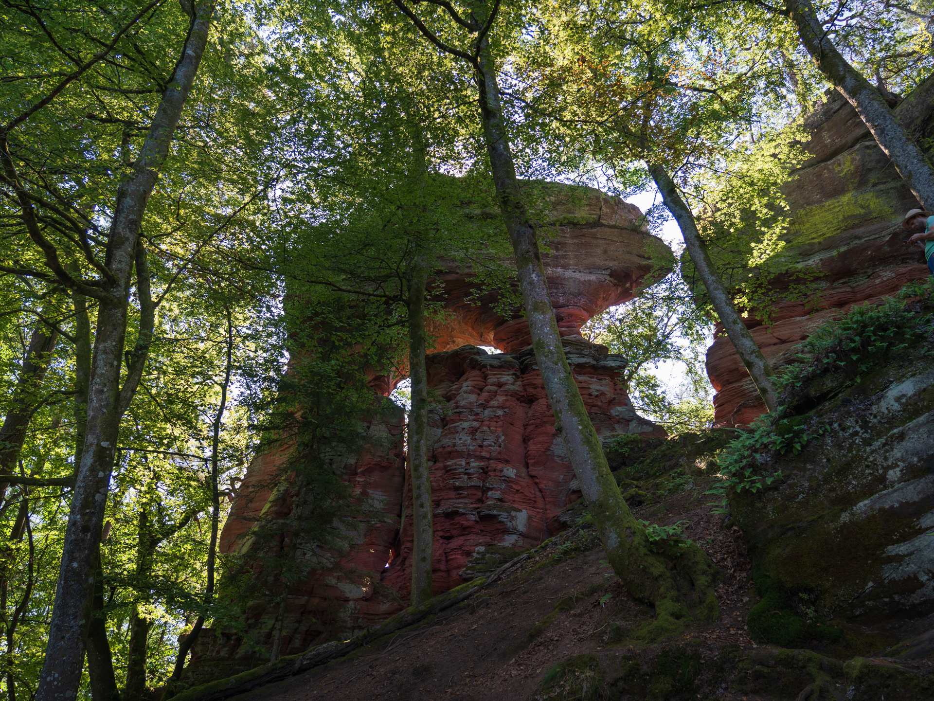 A large, red rock formation stands amid green trees, illuminated by sunlight filtering through the foliage.