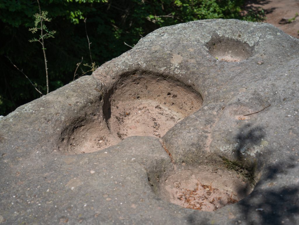 Two distinct depressions carved into a large boulder, surrounded by greenery in a forested area.