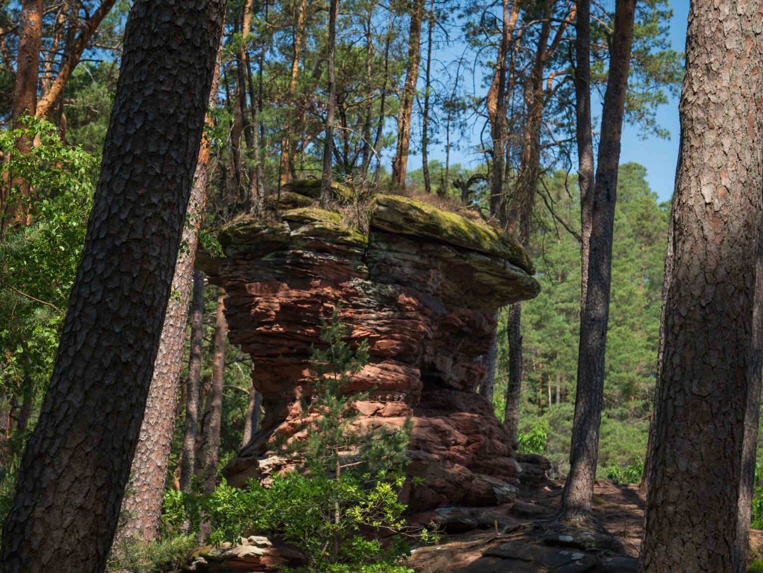 Germany Rocks Exploring the Dahn Rock Trail: A Journey Through Germany's Unique Rock ...