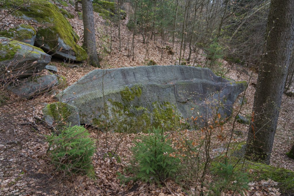 A large, moss-covered stone formation in a forested area, surrounded by fallen leaves and sparse underbrush.