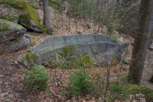 A large, moss-covered stone formation in a forested area, surrounded by fallen leaves and sparse underbrush.