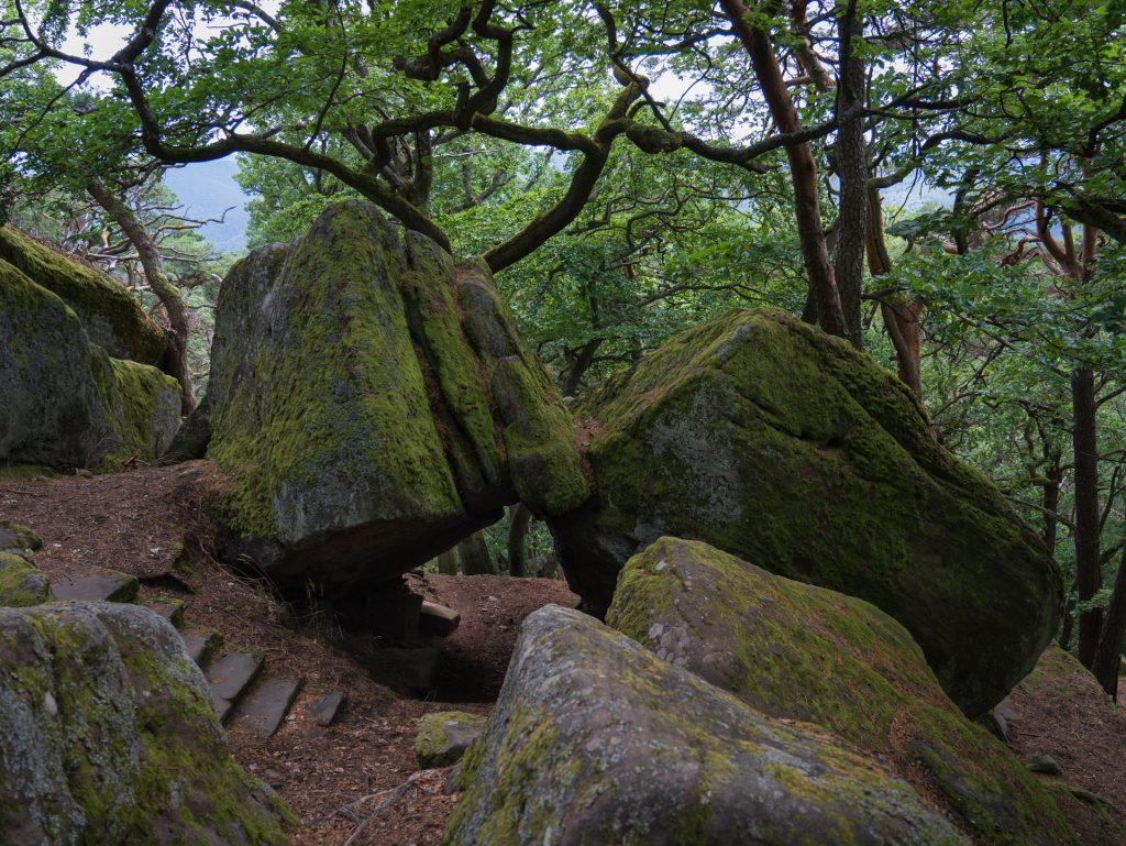 Large moss-covered boulders nestled among lush green trees, with a path of stone steps leading through the natural scenery.