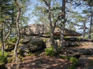 A large, flat rock balanced on smaller stones surrounded by trees and greenery in a forested area.