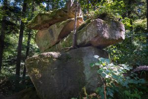 Large, moss-covered boulders stacked irregularly in a forest, surrounded by lush greenery and trees.