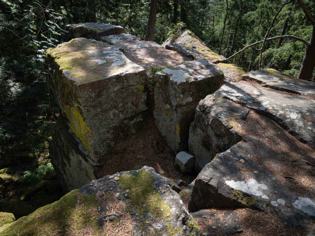 A large rock formation covered in moss and lichen, surrounded by trees in a forested area. Sunlight filters through the branches.