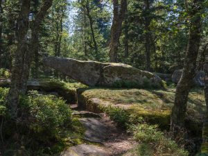 A large, flat rock is partially balanced on a smaller stone in a wooded area, surrounded by greenery and trees.