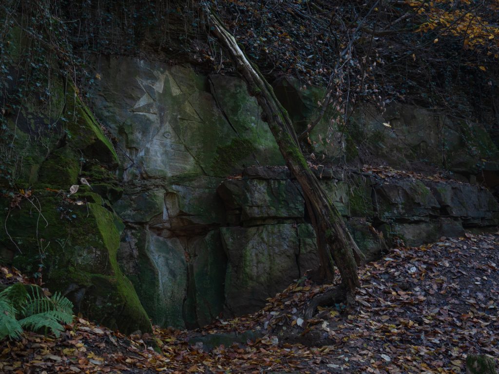 A moss-covered rock wall with a faint carved star and a gnarled tree leaning against it, surrounded by autumn leaves.