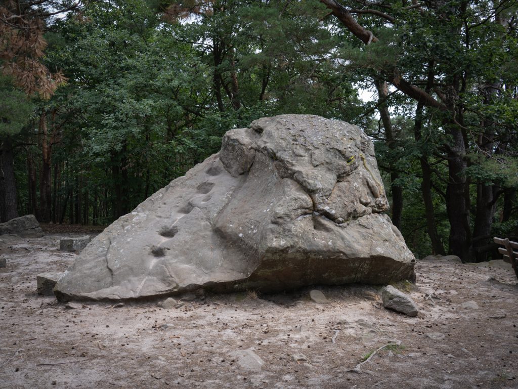 A large, irregular boulder sits in a forested area, surrounded by sandy ground and trees.