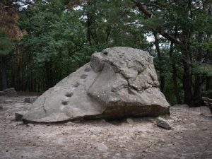 A large, irregular boulder sits in a forested area, surrounded by sandy ground and trees.