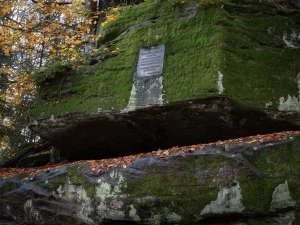 A moss-covered rock formation with a plaque mounted on it, surrounded by autumn leaves and trees.