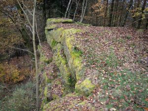 A mossy rock outcrop covered in fallen leaves, surrounded by trees with autumn foliage.