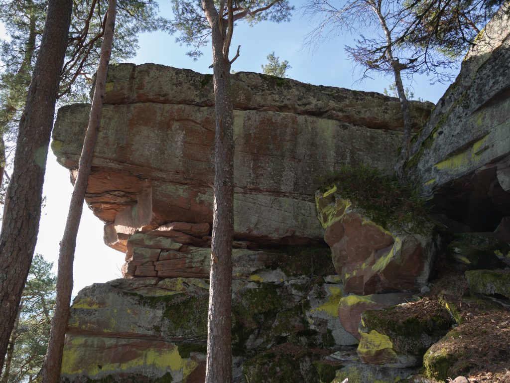 A large, flat rock formation sits atop layered stone blocks, surrounded by tall pine trees and patches of green moss.
