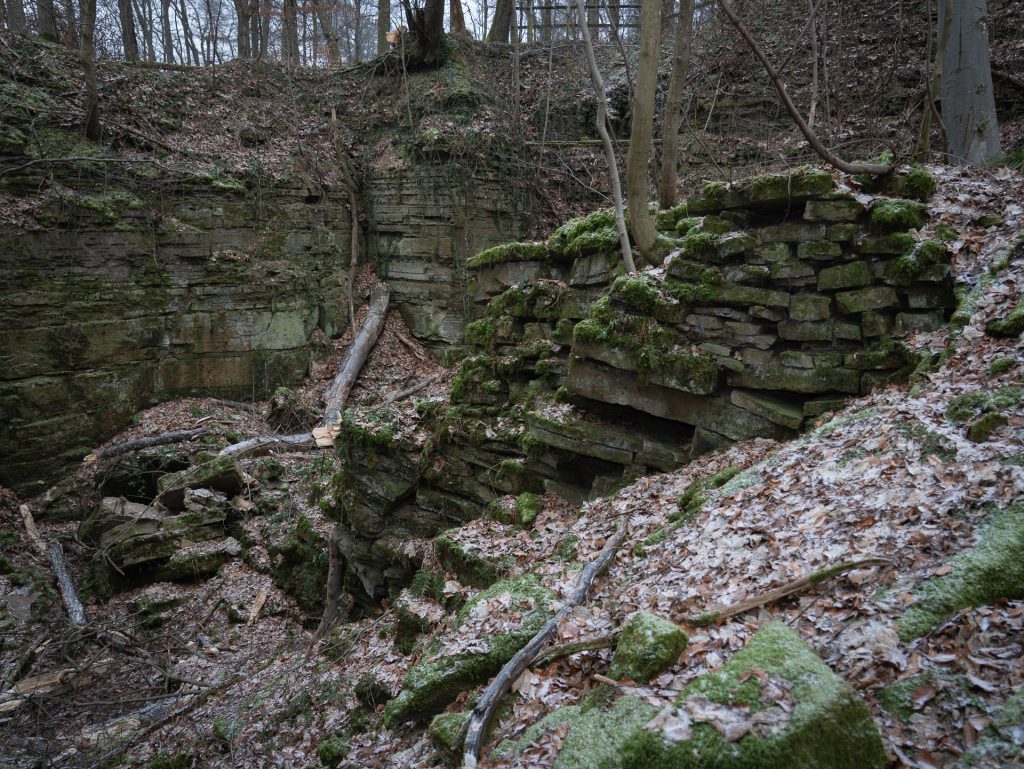 Ruins of a stone structure covered in moss and surrounded by trees in a forested, rocky landscape.