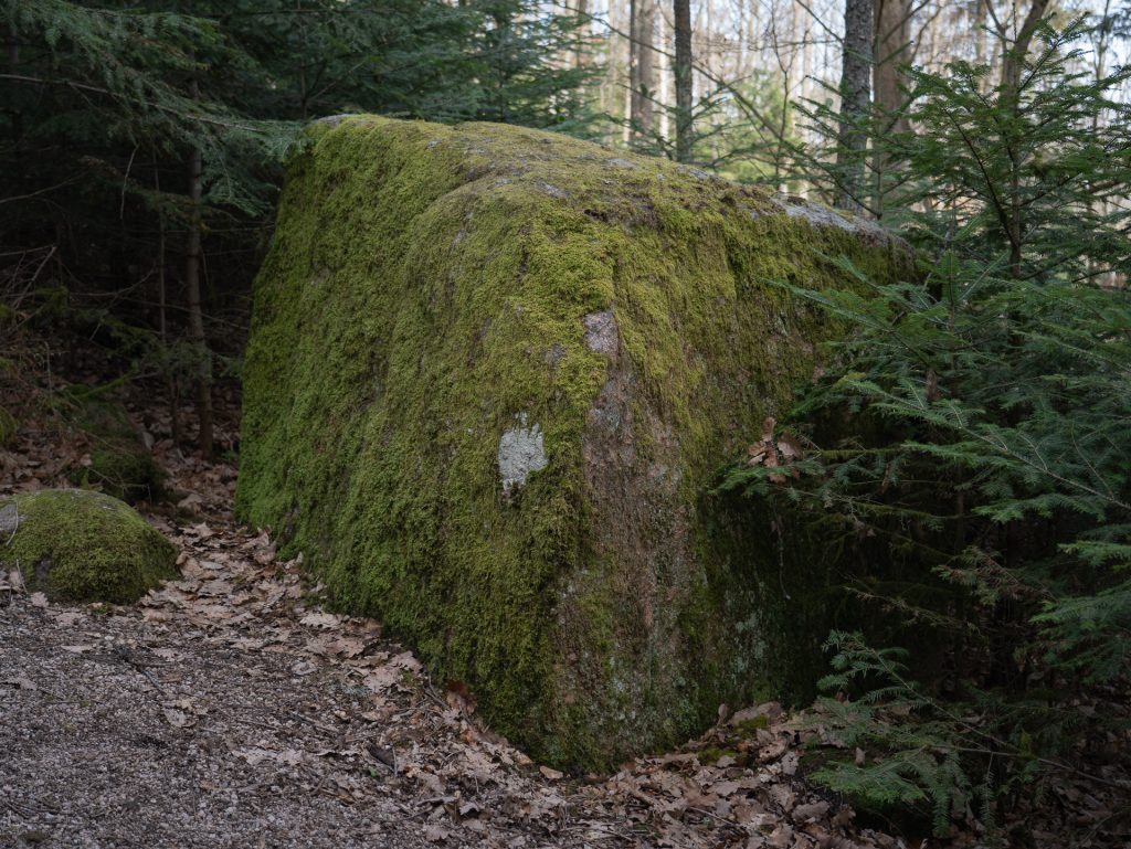 Roche des Fées (Saint-Hippolyte) | Mystic Trails On Ancient Ground