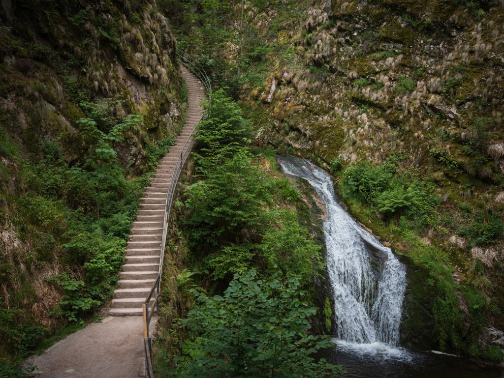 Stairway beside a small waterfall in a lush, mossy canyon