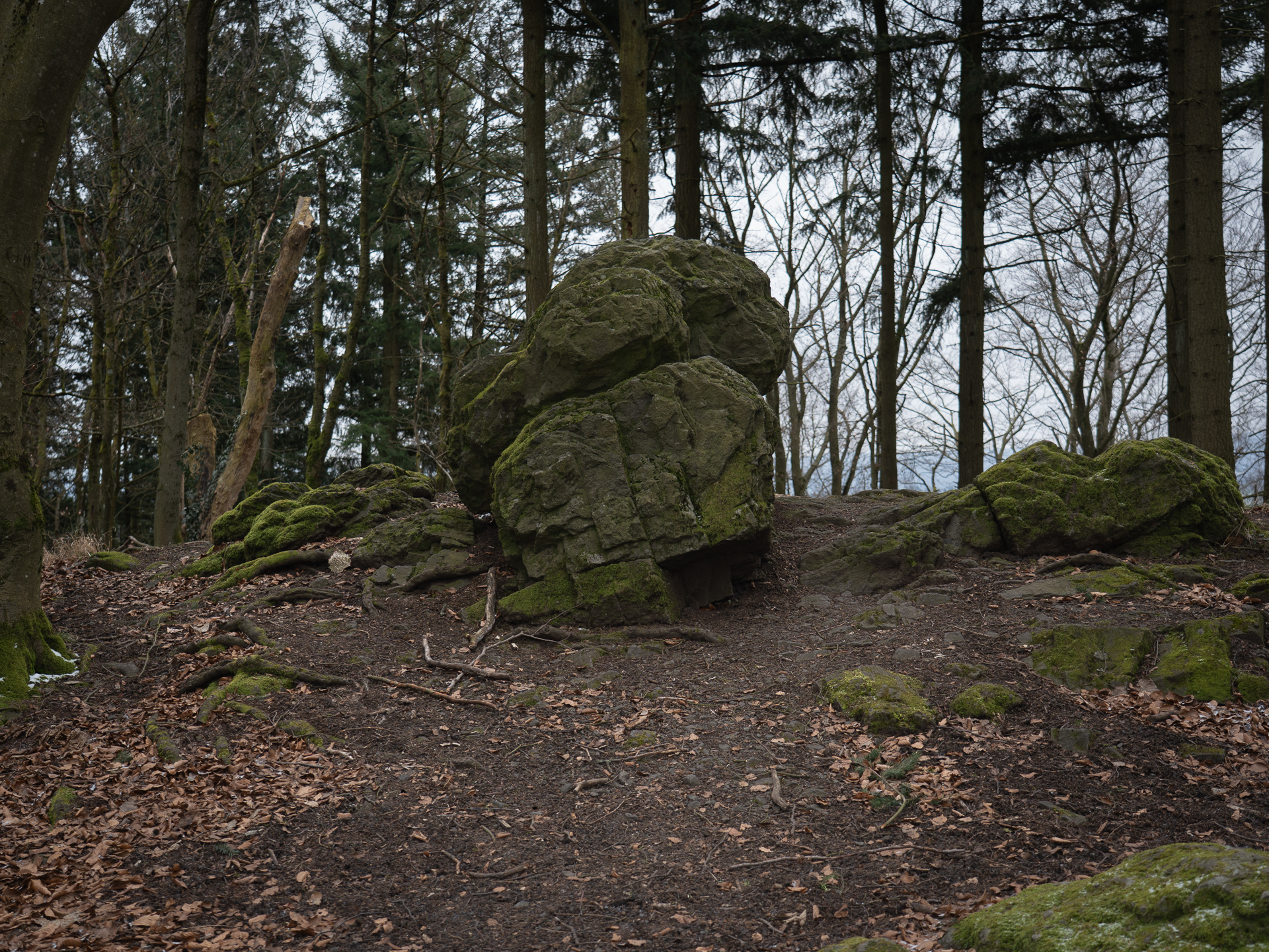 Large moss-covered stones forming a compact ensemble on a wooded rise on Magnetberg.